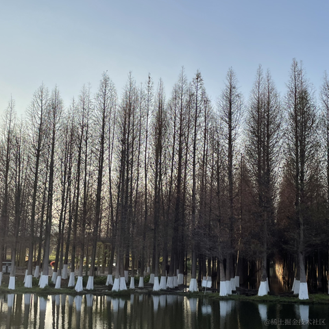 lynnss_ai于2024-04-08 09:39发布的图片