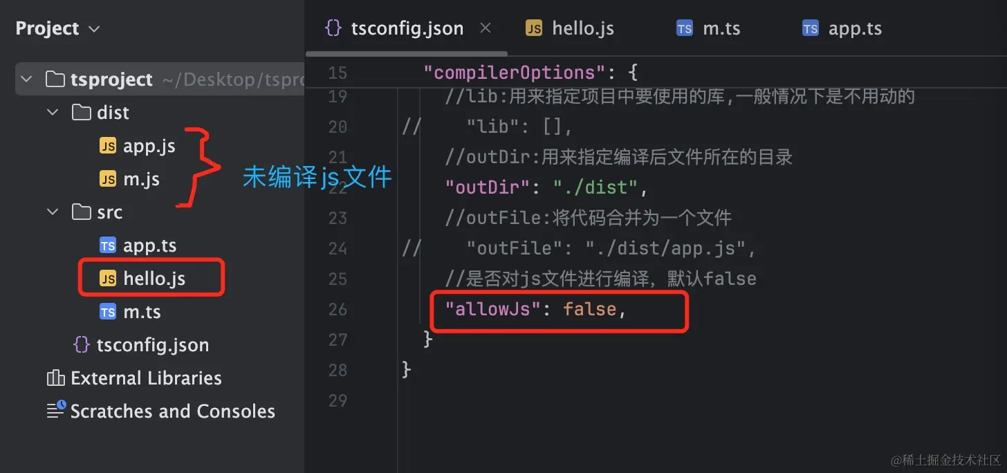 allowJs.png