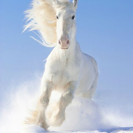 南方者于2021-11-21 18:17发布的图片