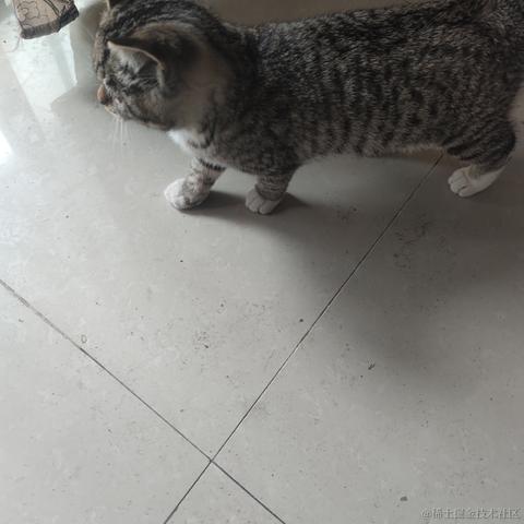林雨一直走于2023-05-12 15:52发布的图片
