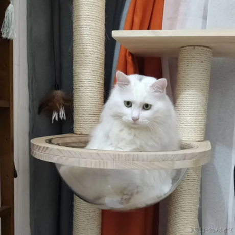 你怎么瘦的像条狗一样于2023-08-04 09:19发布的图片