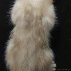 orangecat于2023-05-23 10:36发布的图片