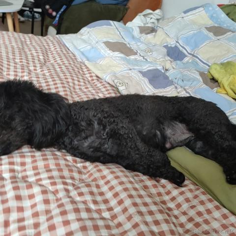 璇天凤舞于2023-05-15 03:04发布的图片