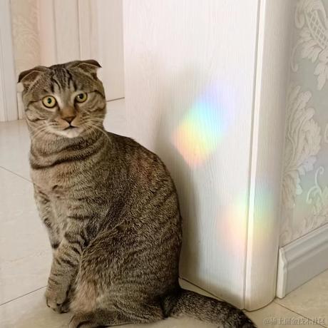 就酱君_于2023-07-19 15:49发布的图片
