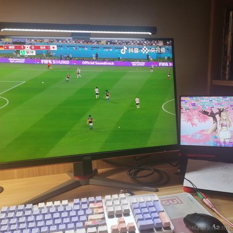 蒂娜的野生柴犬于2022-11-24 08:10发布的图片