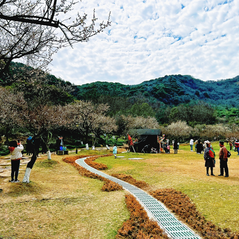 王老狮于2022-02-20 20:17发布的图片