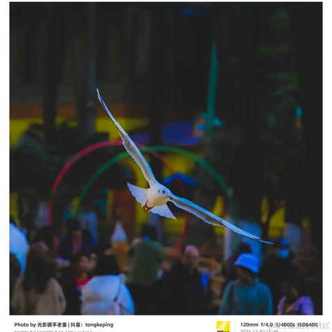 光影童于2023-12-11 11:15发布的图片