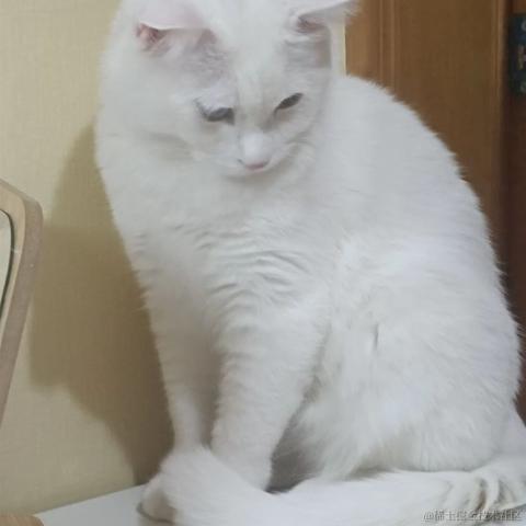 娟娟呀于2022-06-22 15:30发布的图片