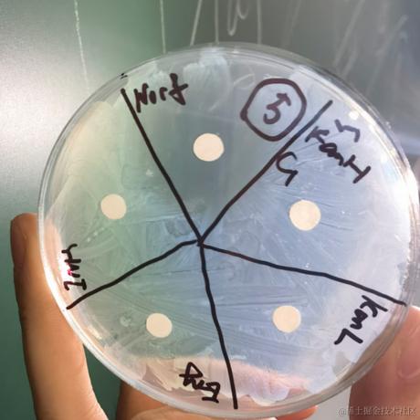 大头兵向晚于2022-11-17 12:55发布的图片