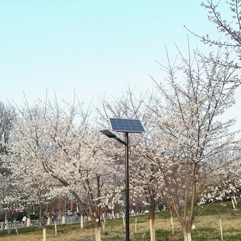 Siven49于2023-04-28 08:38发布的图片