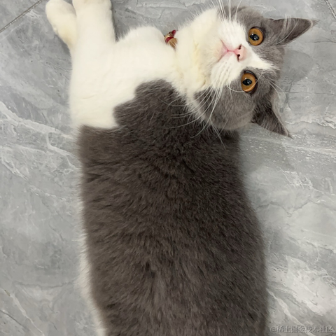 单纯_稀饭于2024-06-19 08:07发布的图片