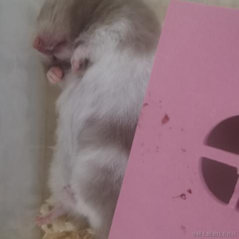 郑丫头于2022-06-24 10:59发布的图片