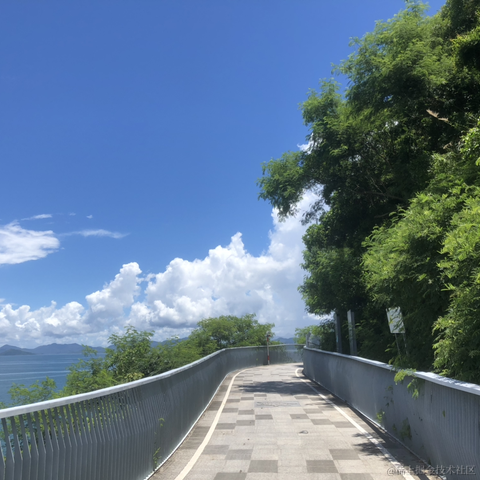 于2024-07-09 15:25发布的图片