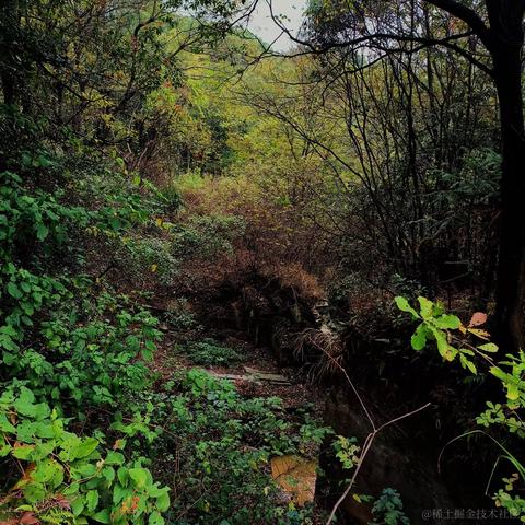 黑了于2022-11-22 12:05发布的图片