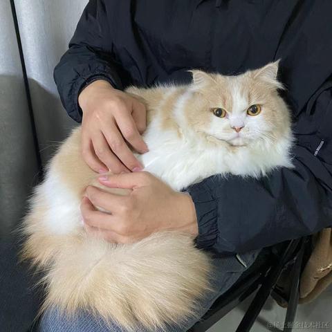 某米于2022-12-13 10:20发布的图片