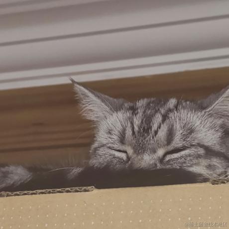 吃鱼的不一定是猫于2023-10-31 17:34发布的图片