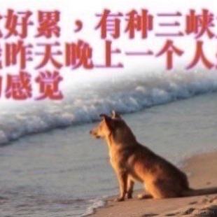 那就拜托你啦于2023-06-25 09:18发布的图片