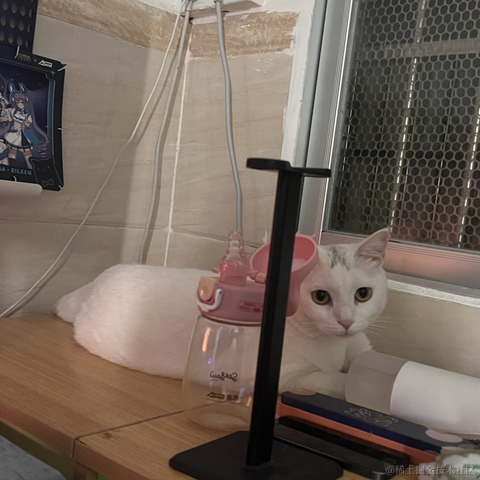 祝六一于2022-11-29 19:46发布的图片