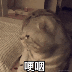 我他喵的杀杀杀于2021-02-05 09:47发布的图片