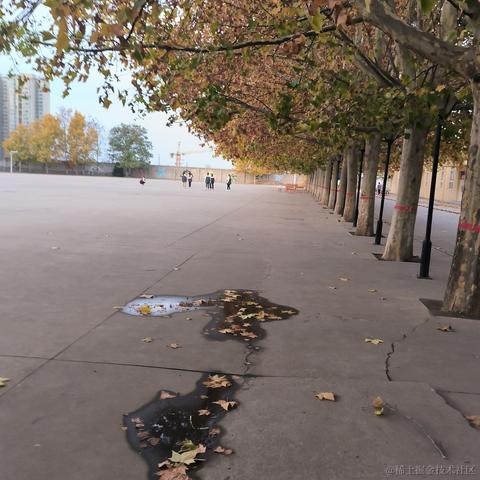 彧琰勳瑛于2022-11-12 17:10发布的图片