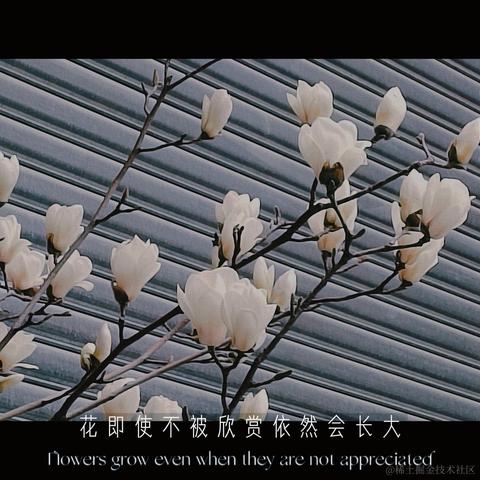 violetBlue于2023-03-28 07:58发布的图片