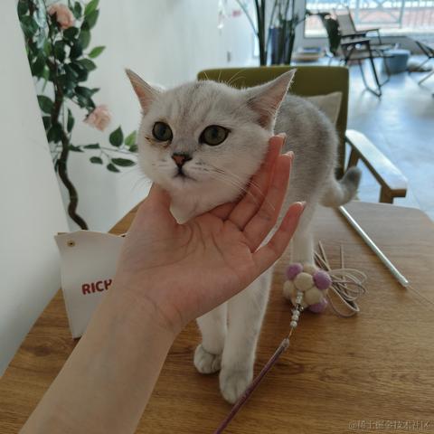 心愛今天吃什么于2023-07-08 13:12发布的图片