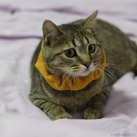 云里伴山于2023-05-19 16:22发布的图片