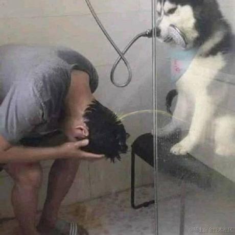 爱吃萝卜的秃子于2021-09-02 13:51发布的图片