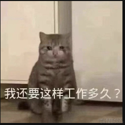 对抗路莫得感情于2022-12-09 09:12发布的图片