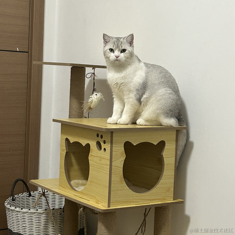 球球不喜欢_球于2022-12-27 11:00发布的图片