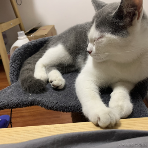 红a于2021-09-28 09:54发布的图片