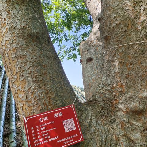 fighter_于2023-05-14 19:55发布的图片