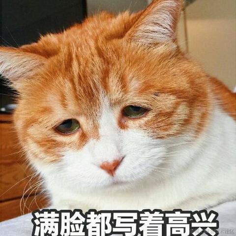 BT7274于2022-11-19 16:32发布的图片