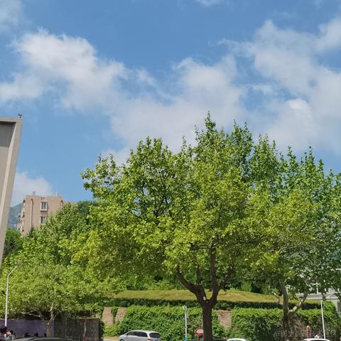 安可可可可于2023-05-20 23:07发布的图片