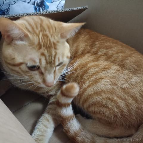 蒂娜今天吃什么于2022-11-26 00:20发布的图片