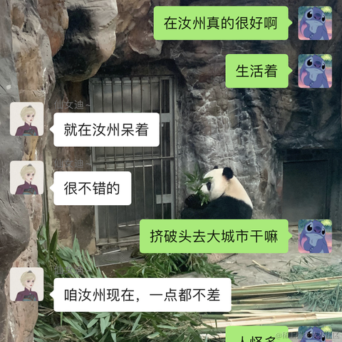 是丫丫于2021-09-28 15:51发布的图片