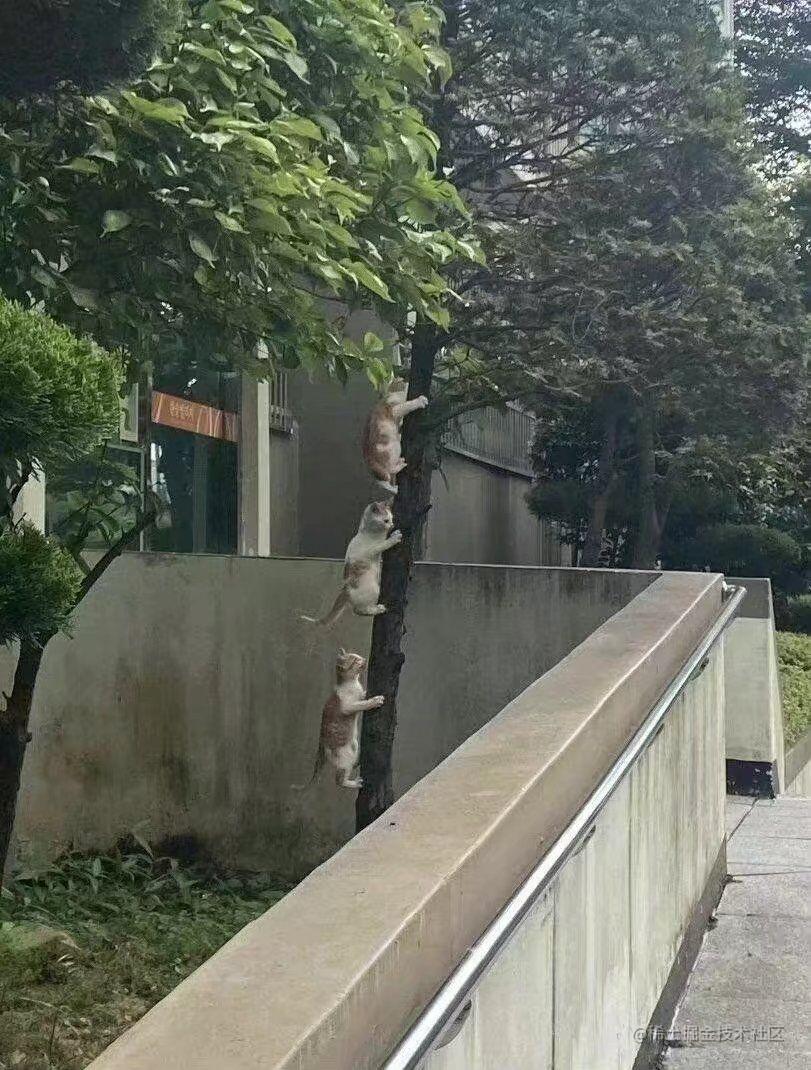 知识总结/笔记