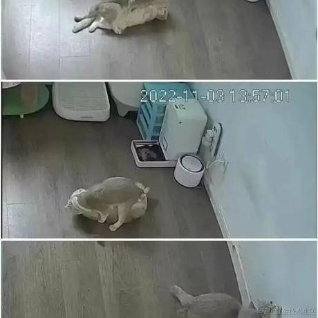 嘉峪关先锋于2022-11-17 12:11发布的图片