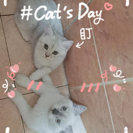 MewXAI于2021-09-24 01:14发布的图片