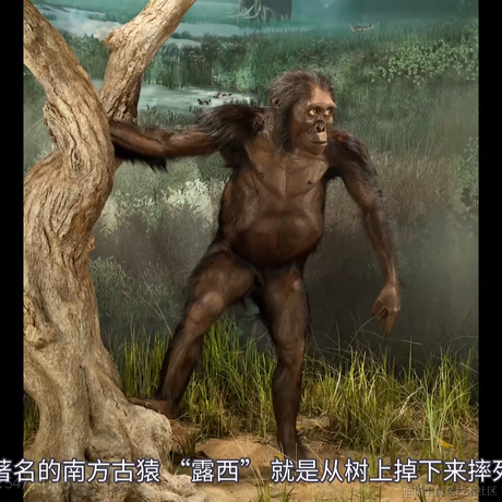 用户9983976123570于2023-06-30 15:32发布的图片