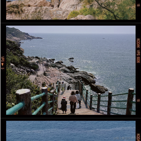 Canivores于2023-03-14 12:04发布的图片