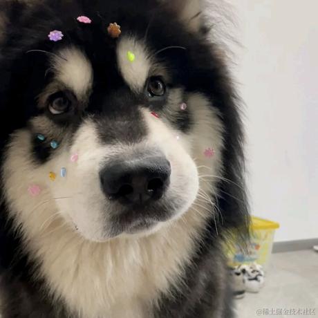 绝望鸭脖于2023-04-20 22:45发布的图片