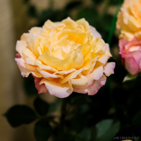 牛肉烧板黎于2022-06-08 08:44发布的图片