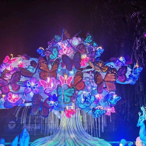 可莉de炸弹于2023-01-18 11:07发布的图片