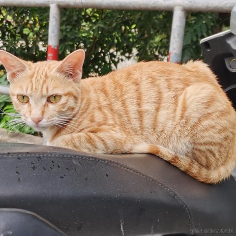 Wei于2022-11-02 23:46发布的图片