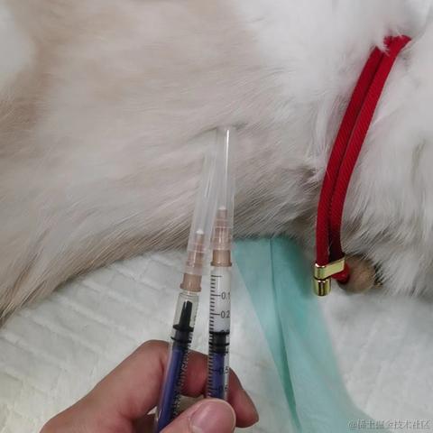 陈一月的编程岁月于2023-08-14 09:11发布的图片