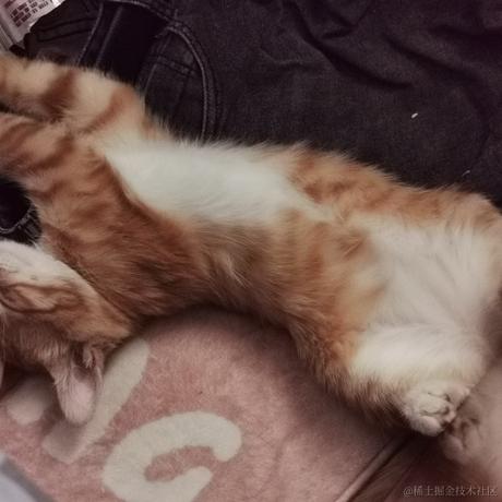 鲨脆脆脆于2023-06-01 22:55发布的图片