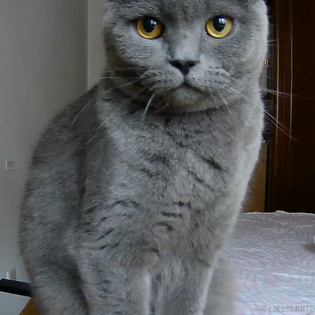 ELEI于2021-12-27 15:20发布的图片