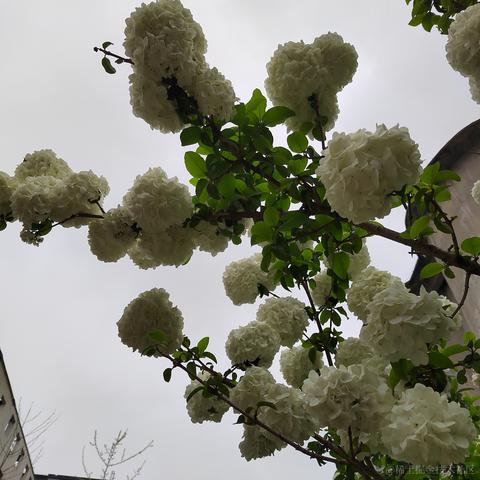 Sarah_于2024-05-28 08:54发布的图片