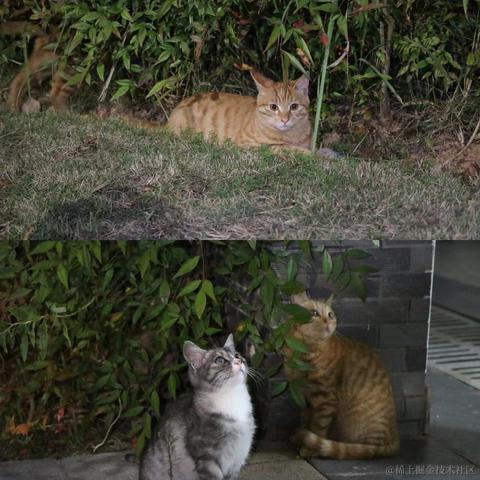 Coca_Cola于2022-12-02 20:30发布的图片